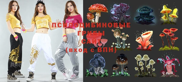 каннабис Белокуриха