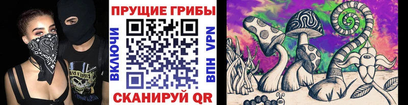 Псилоцибиновые грибы мухоморы  Великий Устюг 