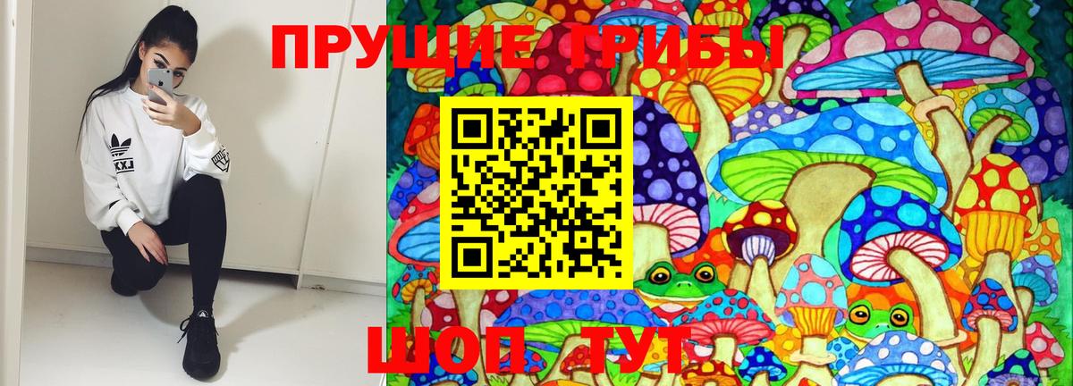 Псилоцибиновые грибы Cubensis Великий Устюг